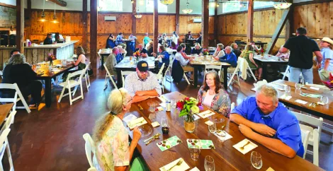 Resilience on the vines: A Farm to Table Gala